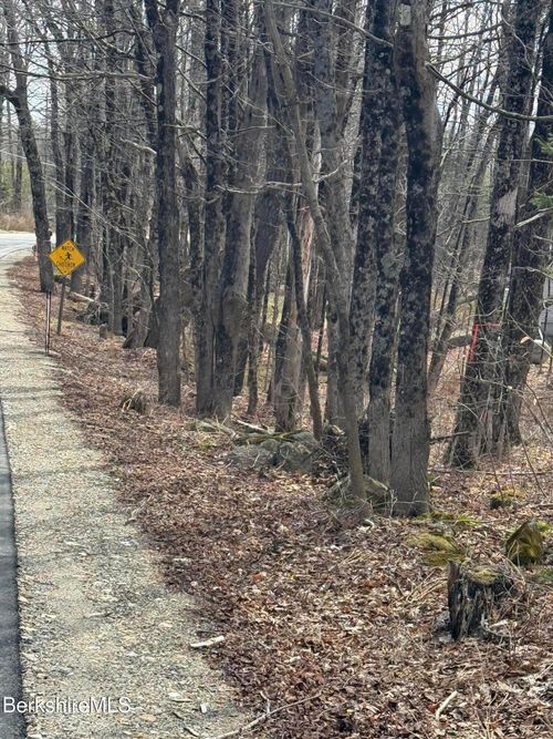 0 George Schnopp Rd, Hinsdale, MA, 01235 | Card Image
