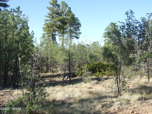 Parcel D Lamb Dr, Pinedale, AZ, 85934 | Card Image