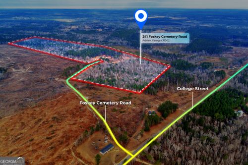 241 Foskey Cemetary Road, Adrian, GA, 31002 | Card Image