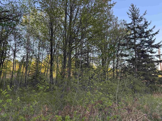 TBD 180 Th Ln, Home with 0 bedrooms, 0 bathrooms and null parking in Mc Grath MN | Image 5