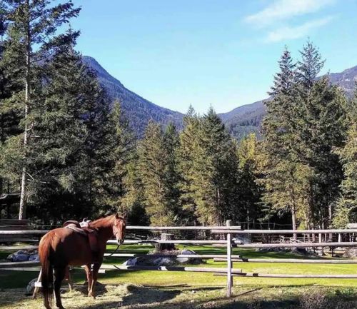 1911 Sweetwater Lane, Mount Currie, BC, V0N | Card Image