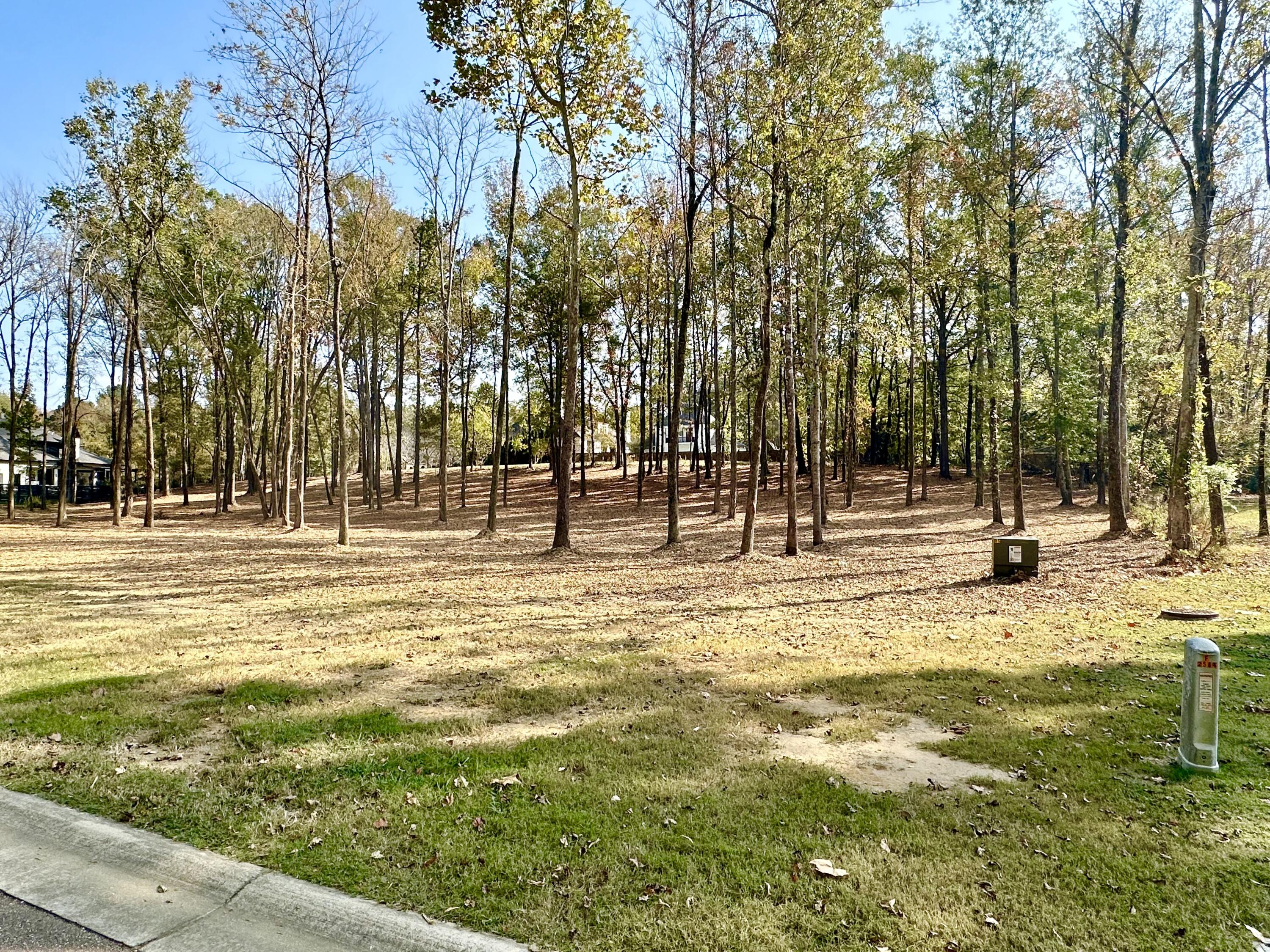 Land in Tupelo 5