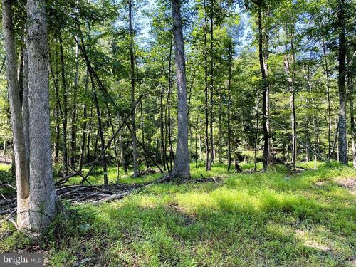 11115 Hinkle Rd Ne, CUMBERLAND, MD, 21502-7806 | Card Image