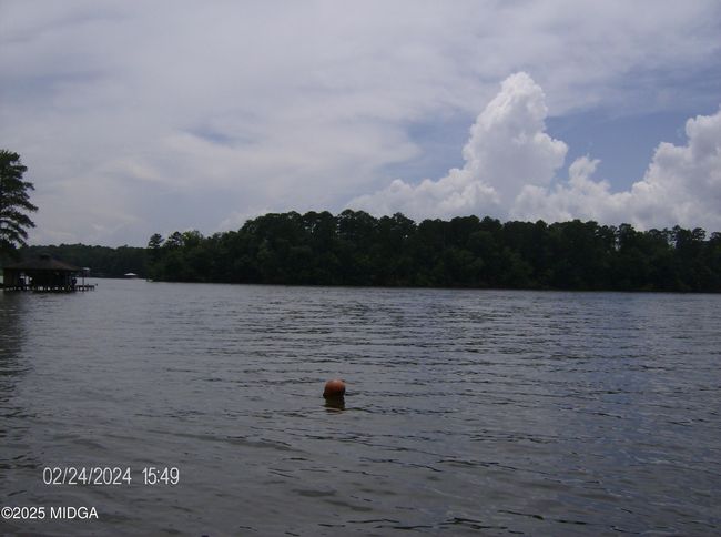 19 | Image 19