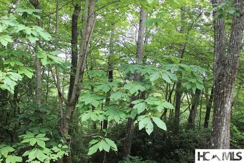 18 Whitewater Ridge Rd, Sapphire, NC, 28774 | Card Image