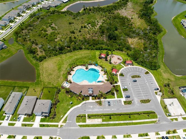 33063 Tulip Petal Ln, Townhouse with 3 bedrooms, 3 bathrooms and null parking in WESLEY CHAPEL FL | Image 47