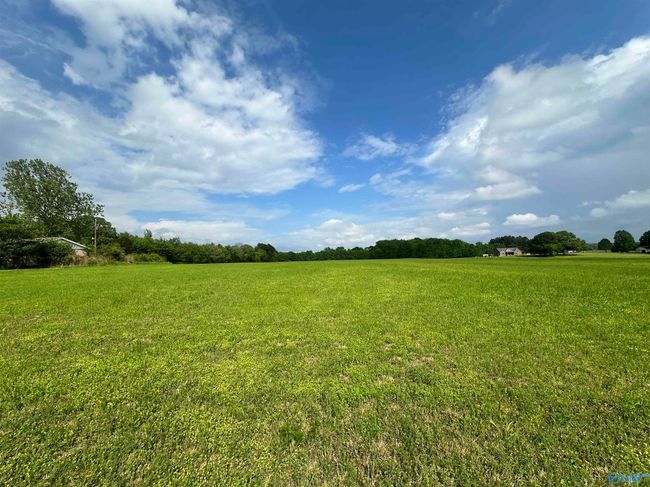 Lot 4 Tillman Mill Rd, Home with 0 bedrooms, 0 bathrooms and null parking in Athens AL | Image 5