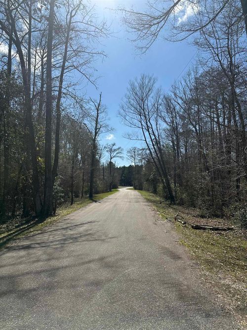 cypress-hills-1.571 AC Lot 21 County Road 173, Jasper, TX, 75951 | Card Image