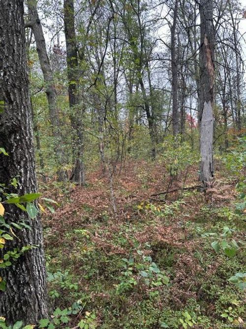 10 Acres W 6 Mile Rd, Beaver Creek Township, MI, 48738 | Card Image