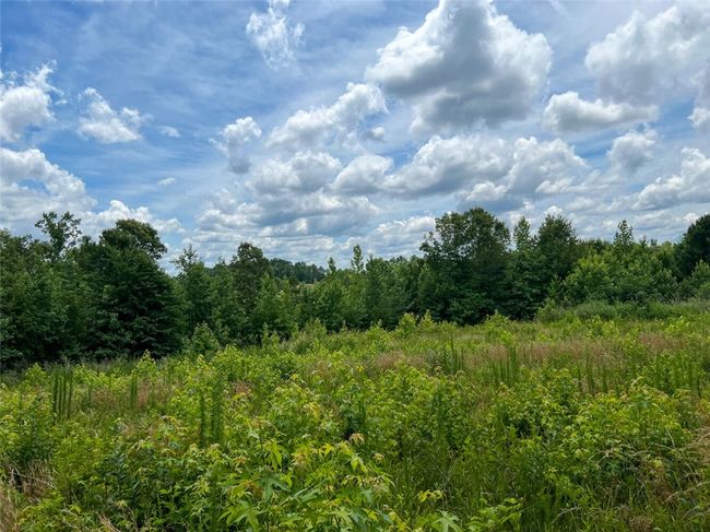 B - 00 Quarter Round Rd, Home with 0 bedrooms, 0 bathrooms and null parking in pacolet SC | Image 12