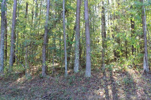 0 County Road 770, Cullman, AL, 35055 | Card Image