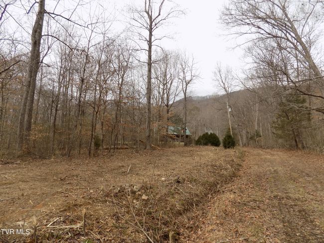 185 Lovin Rd, House other with 4 bedrooms, 2 bathrooms and null parking in Mooresburg TN | Image 51