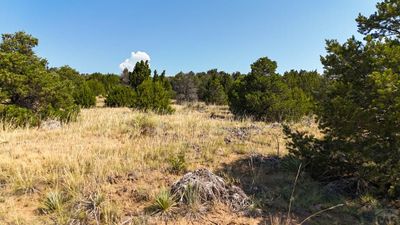 136 - Lot 136 Mohawk Cir, Home with 0 bedrooms, 0 bathrooms and null parking in Walsenburg CO | Image 3