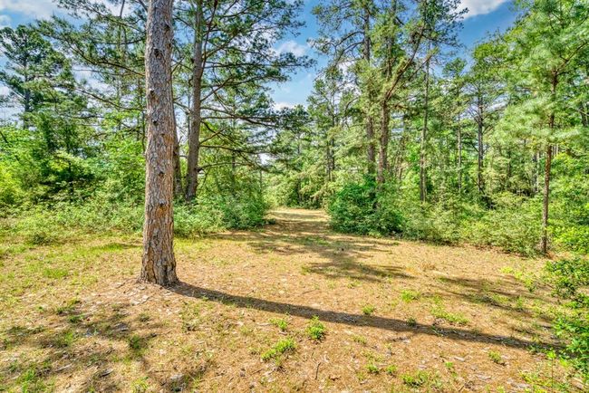 6733 Fm 1511, Home with 2 bedrooms, 2 bathrooms and null parking in Centerville TX | Image 36