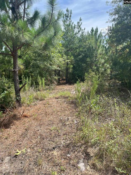 PPF 11 Payne Pond Road, Westville, SC, 29175 | Card Image