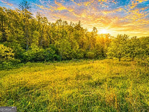 80 ACRES Valley Lake Rd, mineral bluff, GA, 30559 | Card Image