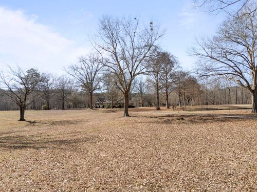 248 County Road 329, Crane Hill, AL, 35053 | Card Image