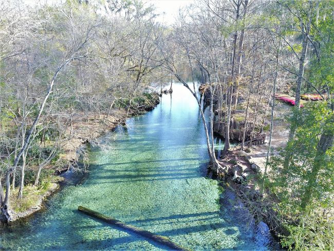 Photo of Ginnie Springs | Image 12