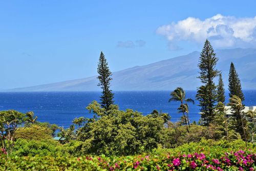 603-50 Puu Anoano St, Lahaina, HI, 96761 | Card Image