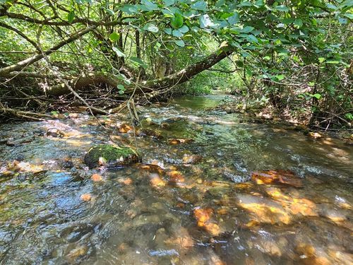 TBD Wisler Dr, Cana, VA, 24317 | Card Image