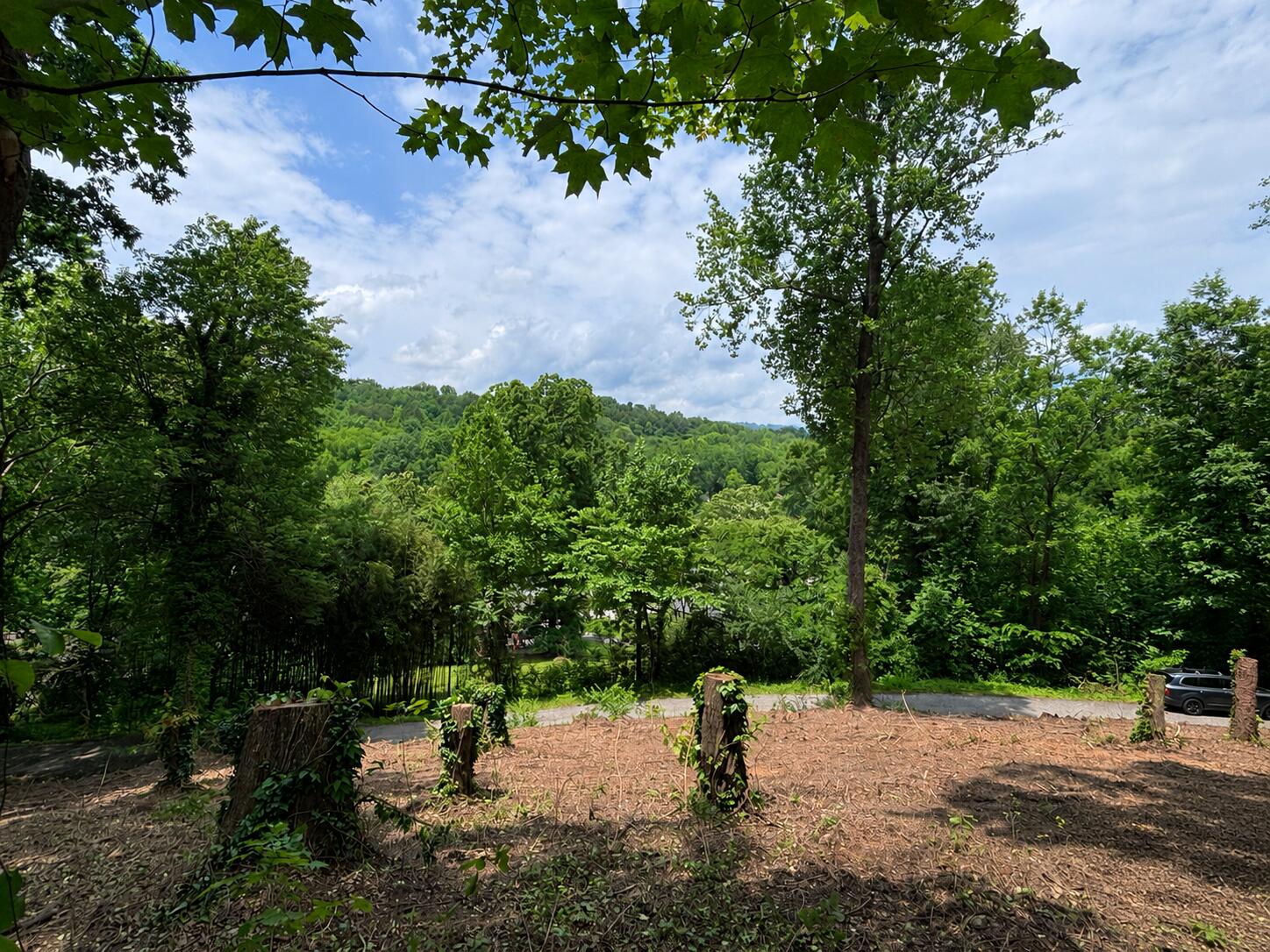 Land in Chattanooga 5