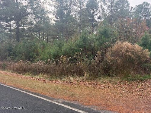 0 Wooded Acres Rd, Lake Waccamaw, NC, 28450 | Card Image
