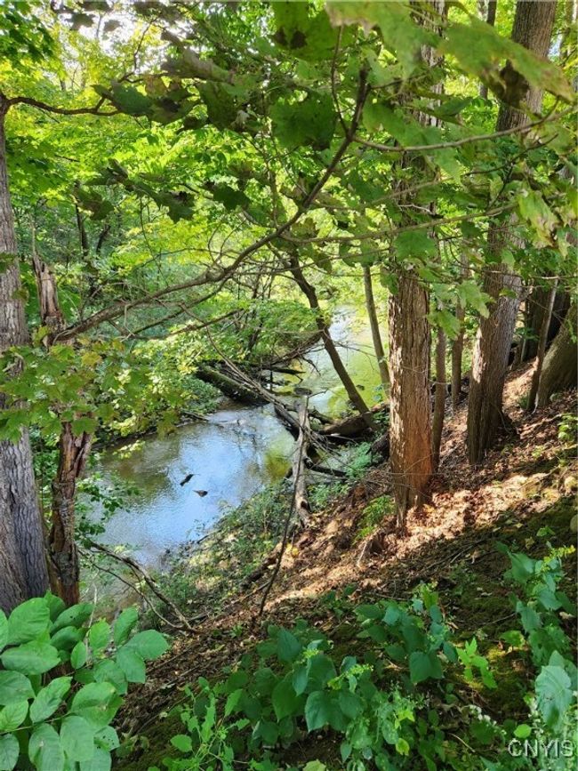 3655 Kelpytown Rd, House other with 3 bedrooms, 1 bathrooms and null parking in Port Leyden NY | Image 34