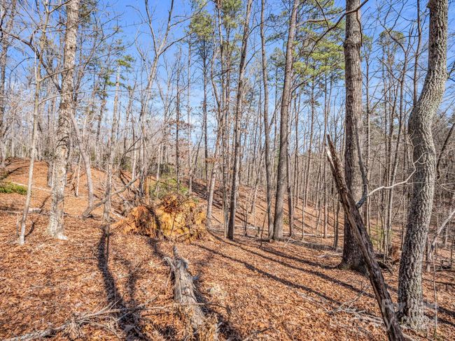 21-24-AND-25 - 000 Forester Ln, Home with 0 bedrooms, 0 bathrooms and null parking in Mill Spring NC | Image 20