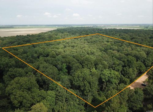 000 Mallard Pond Ln, Waldenburg, AR, 72475 | Card Image