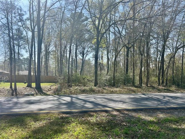 2710 Roman Forest Blvd, Home with 0 bedrooms, 0 bathrooms and null parking in New Caney TX | Image 5
