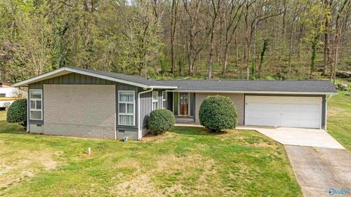308 Hamilton Drive Ne, Fort Payne, AL, 35967 | Card Image