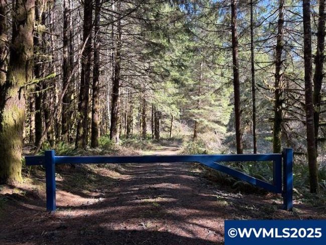 0 Logsden Rd, Home with 0 bedrooms, 0 bathrooms and null parking in Blodgett OR | Image 16