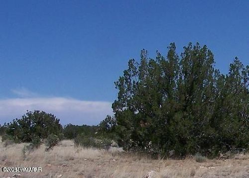 Sec 13 T14n, R16e:E2 Nw4 Se4, Heber, AZ, 85928 | Card Image