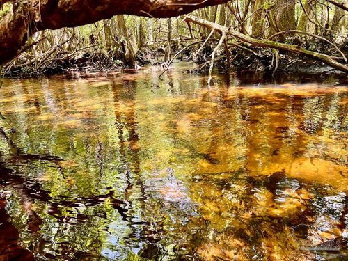 Lot 96 Turning Leaf Rd, Jay, FL, 32565 | Card Image