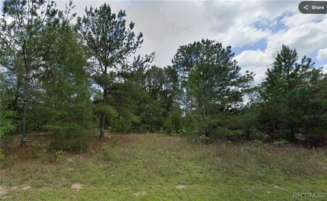Land in Dunnellon 2