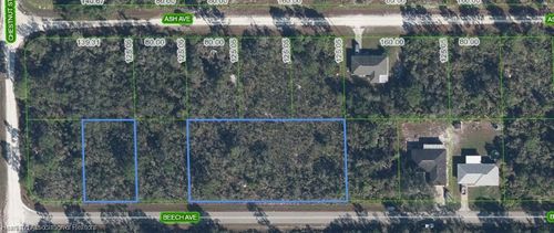 3021 Beech Ave, Lake Placid, FL, 33852-8594 | Card Image