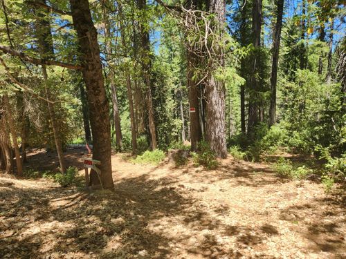 6296 Merry Way, Clipper Mills, CA, 95930 | Card Image