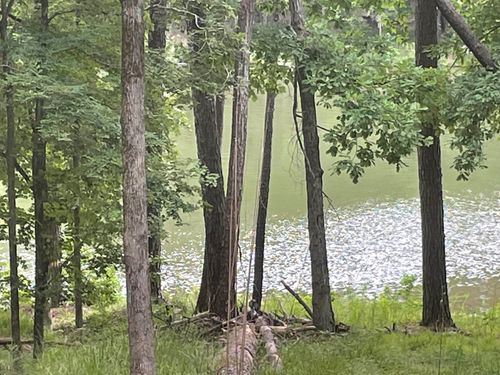 55-1550 Dogwood Dr, Greensboro, GA, 30642-3951 | Card Image