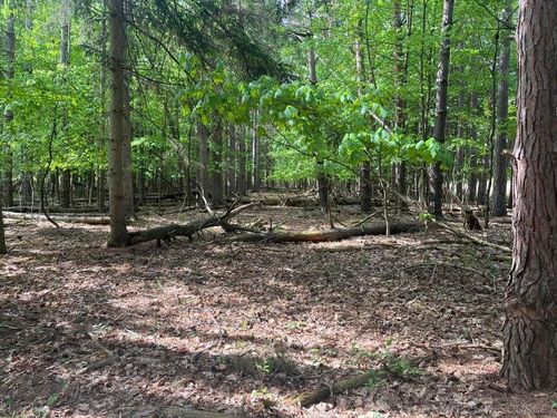 00 Mortimer Line Road, Worth Township, MI, 48422 | Card Image