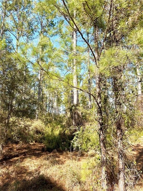0 W Marsh Way, Townsend, GA, 31331 | Card Image