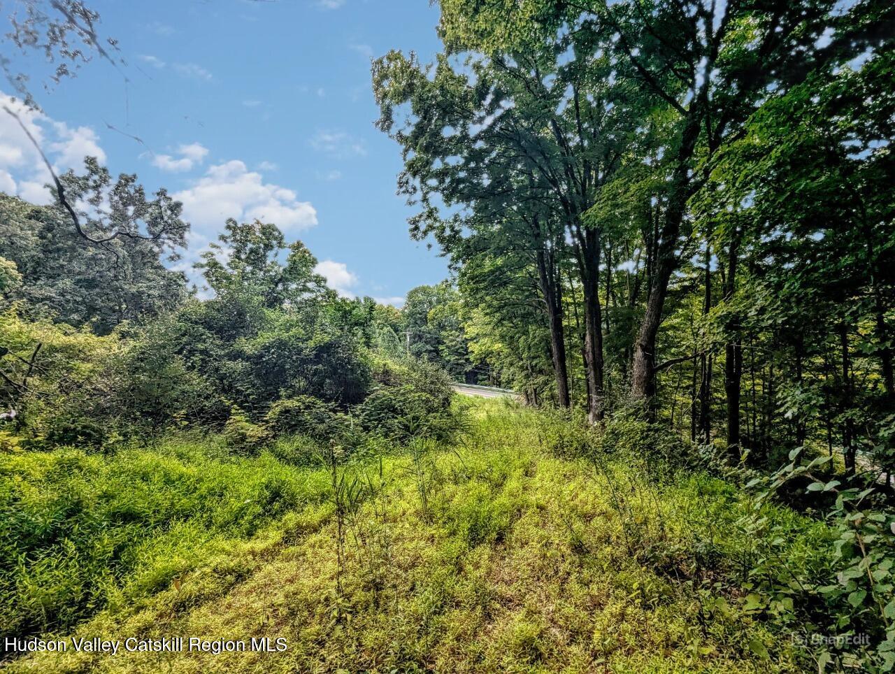 Land in New Paltz 5