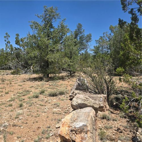 32220 W Conejo Rd, Seligman, AZ, 86337 | Card Image