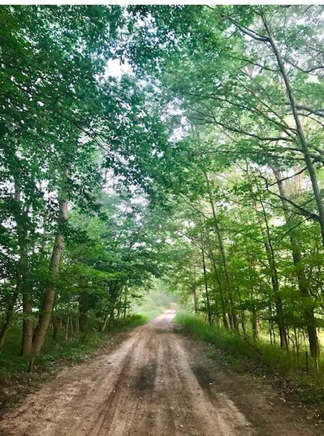 31 | Image 31