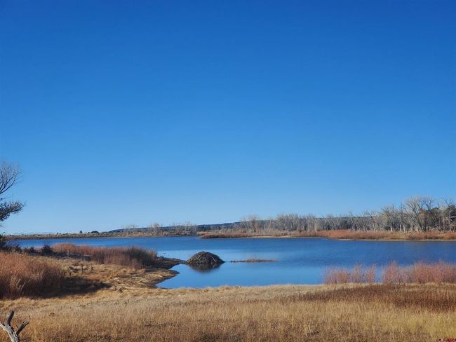 13989 Road 35.6, Home with 0 bedrooms, 0 bathrooms and null parking in Mancos CO | Image 29