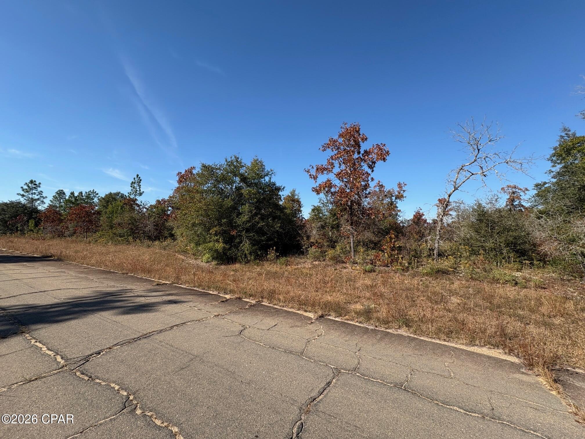 Land in Chipley 4