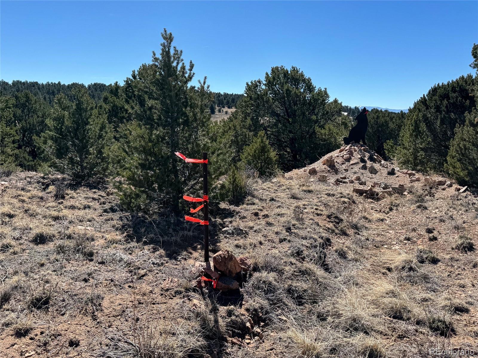 Land in Westcliffe 3