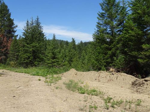 4482 Old East Springdale Rd, Loon Lake, WA, 99148-5141 | Card Image
