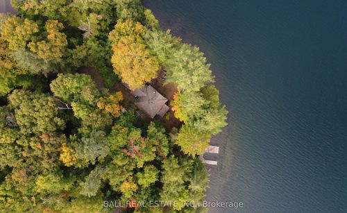 551 Renwick Rd, Apsley, ON, K0L1A0 | Card Image