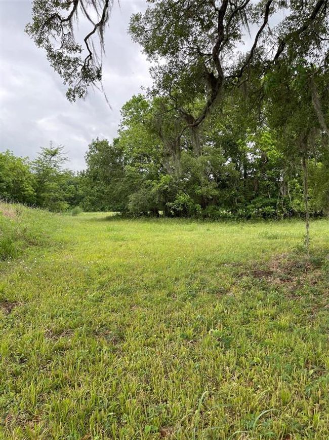 526 Pony Trl, Home with 0 bedrooms, 0 bathrooms and null parking in Angleton TX | Image 11
