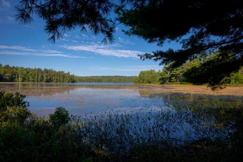 00 Main (Rte 102) Street, Mount Desert, ME, 04660 | Card Image